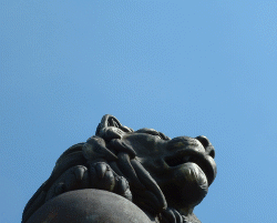 lion_york.gif (28163 Byte)